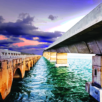 Bridge Enviormental Impact